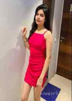 Book Now VIP Services